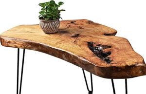 Discovering the Charm of Our Unique Natural Wood Coffee Table