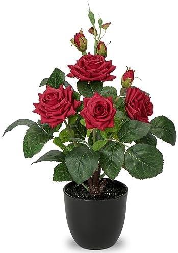 Enhance⁢ Your⁤ Home with Lifelike Artificial Plants & Flowers!